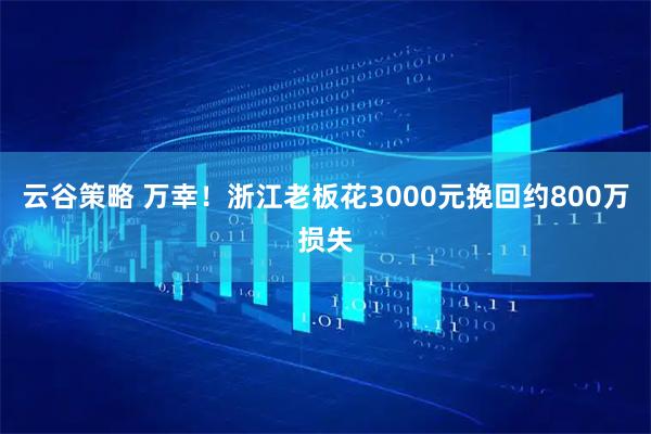 云谷策略 万幸！浙江老板花3000元挽回约800万损失