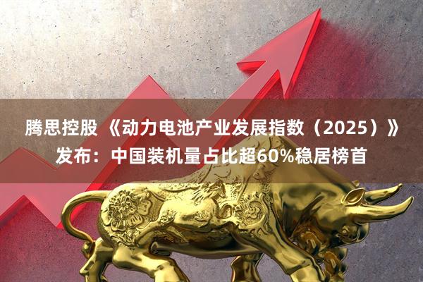 腾思控股 《动力电池产业发展指数(2025)》发布:中国装机量占比超60%稳居榜首