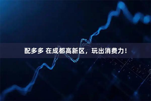 配多多 在成都高新区，玩出消费力！