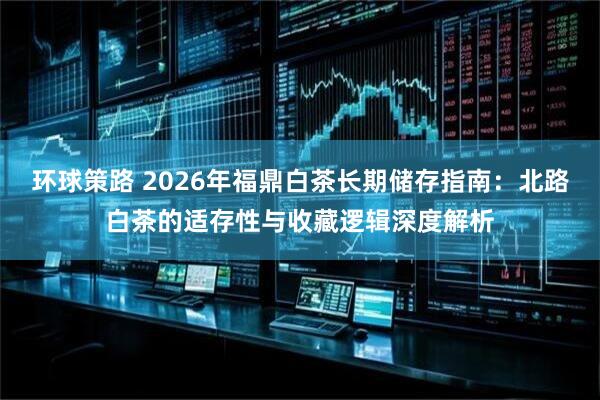 环球策路 2026年福鼎白茶长期储存指南：北路白茶的适存性与收藏逻辑深度解析
