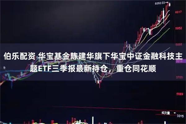 伯乐配资 华宝基金陈建华旗下华宝中证金融科技主题ETF三季报最新持仓，重仓同花顺